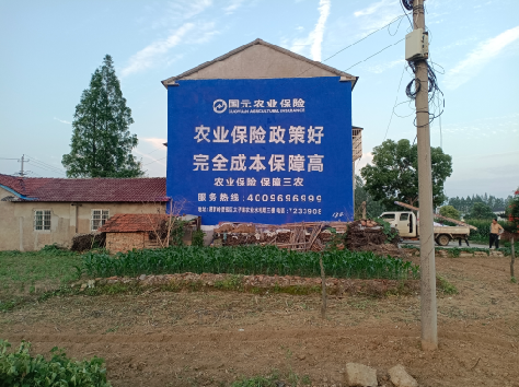 洛宁墙体广告为何受追捧？