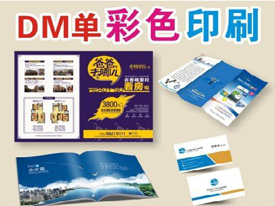 洛宁单页印刷，色彩搭配简单。
